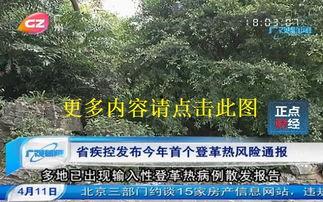 广州电视台新闻爆料直播,最新事件现场直击  第3张